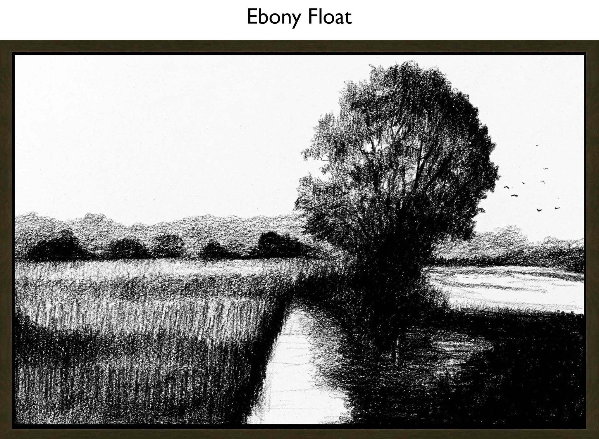Ebony Float