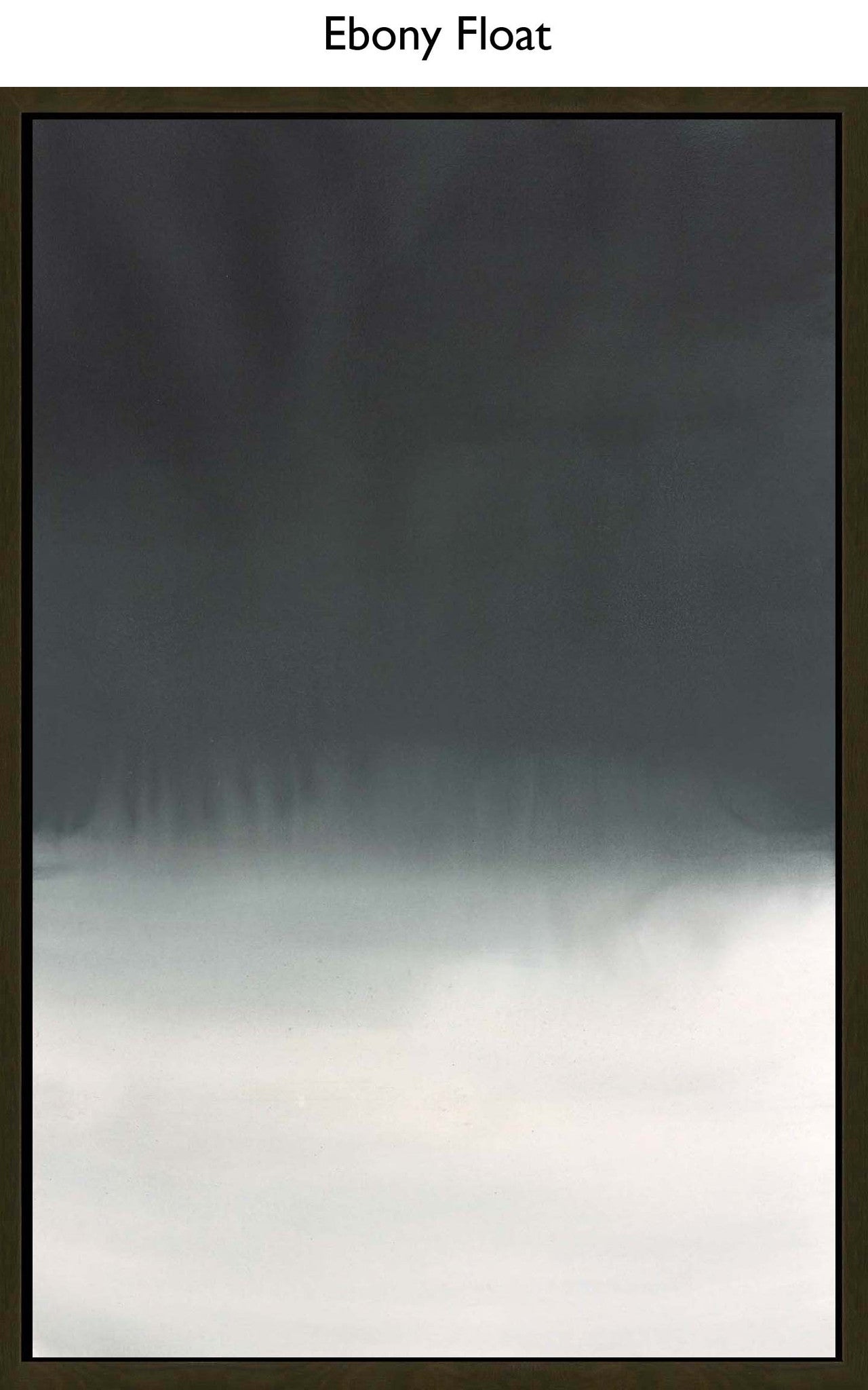 Ebony Float