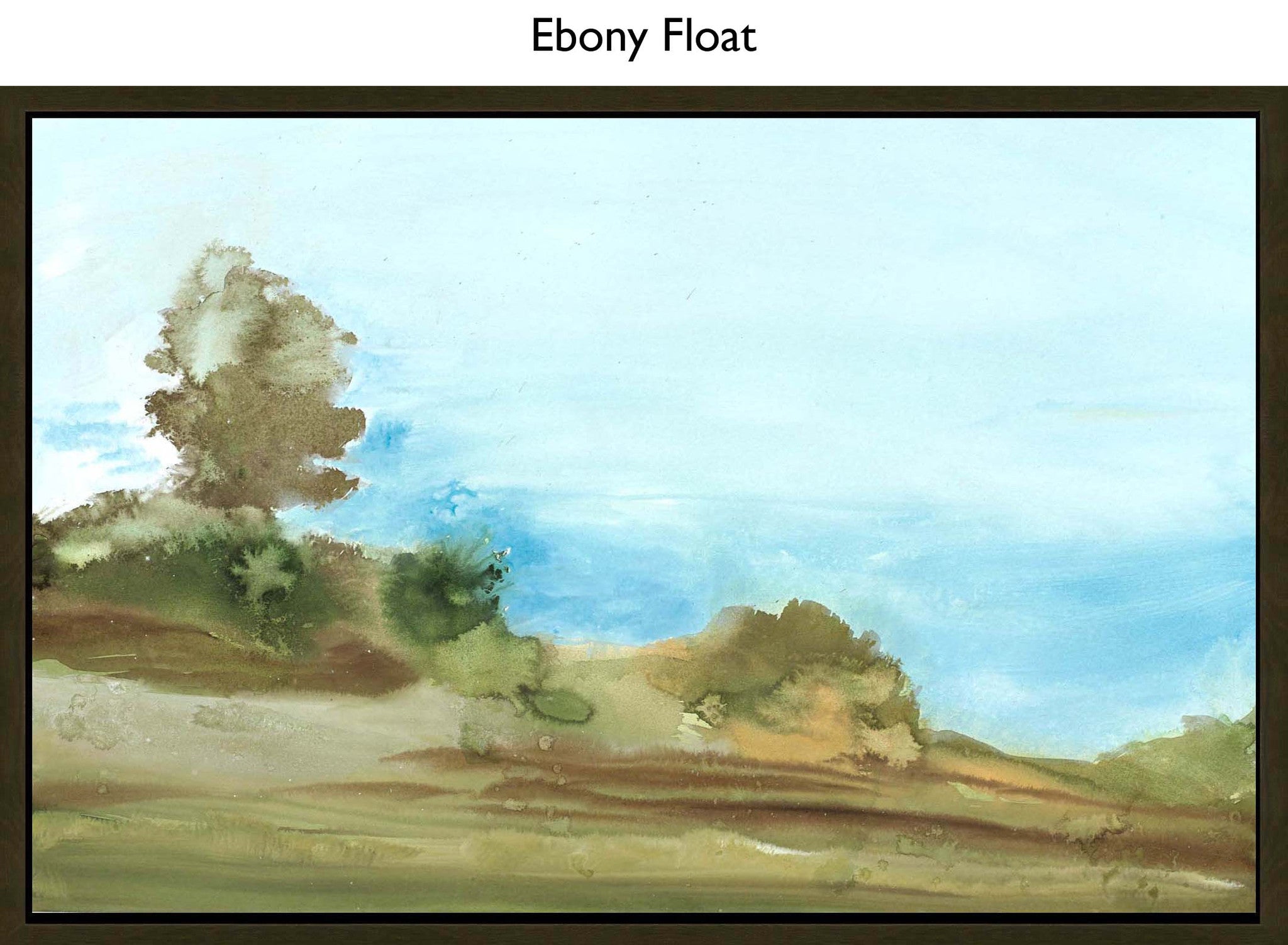 Ebony Float