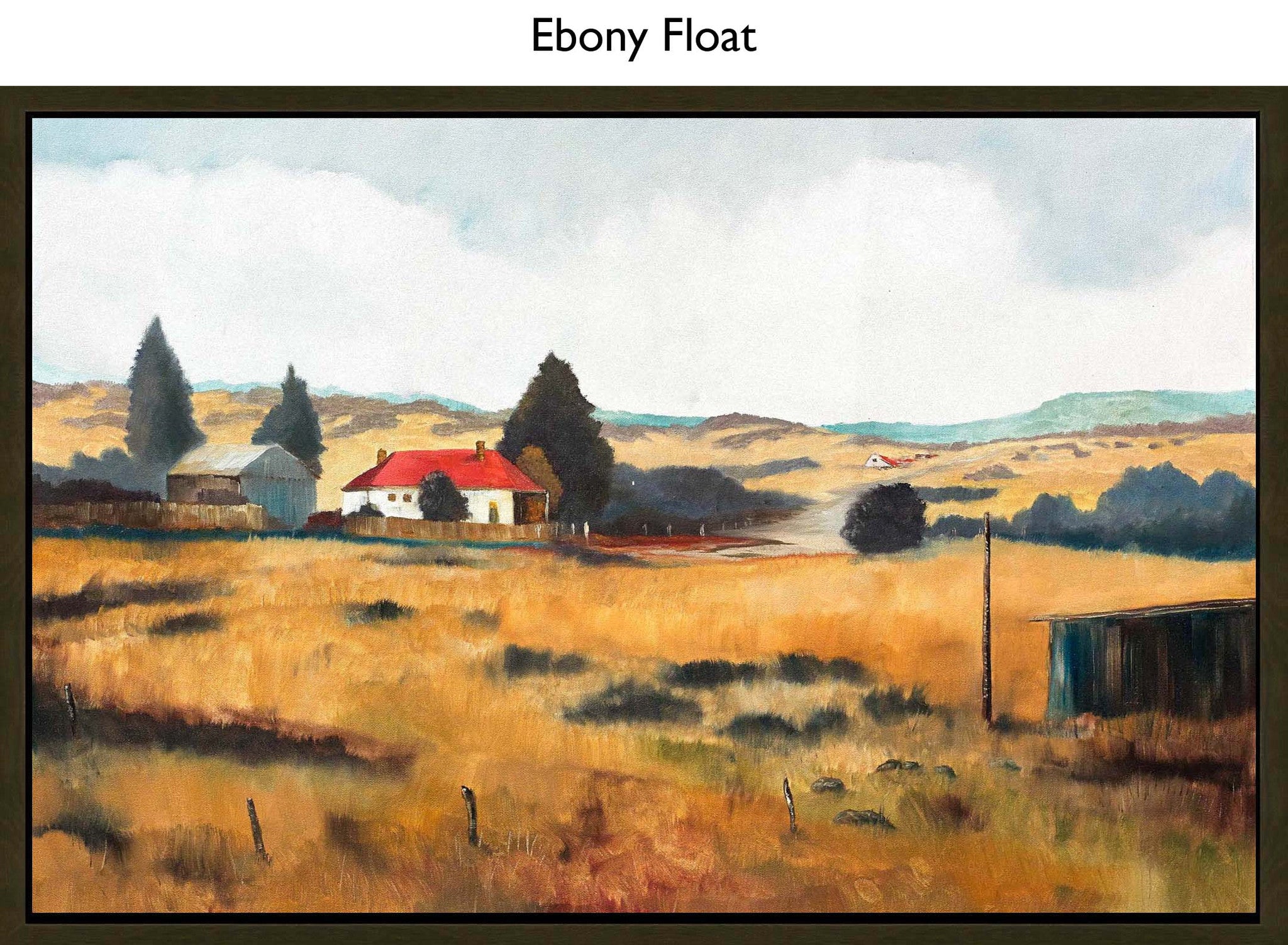 Ebony Float