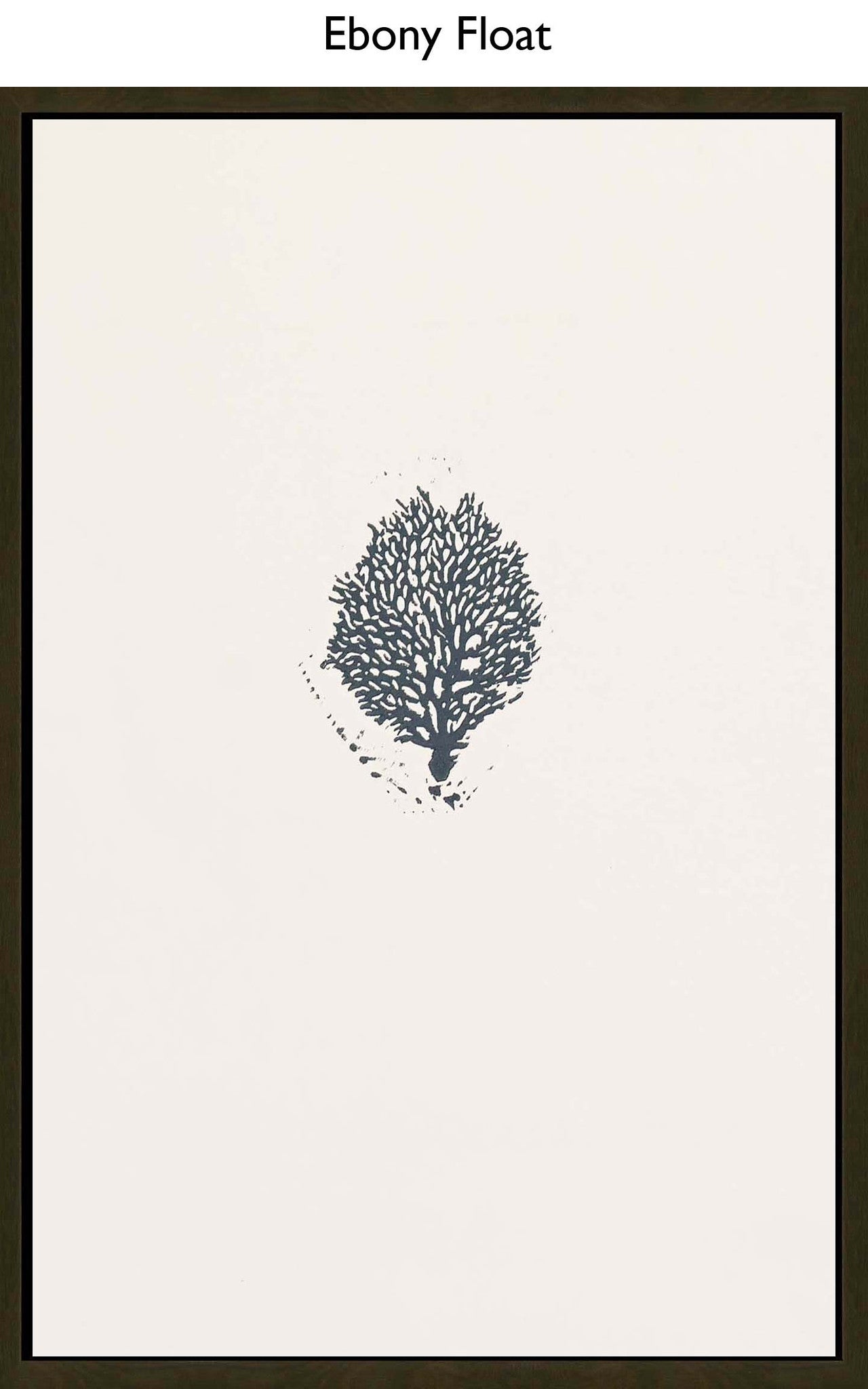 Ebony Float