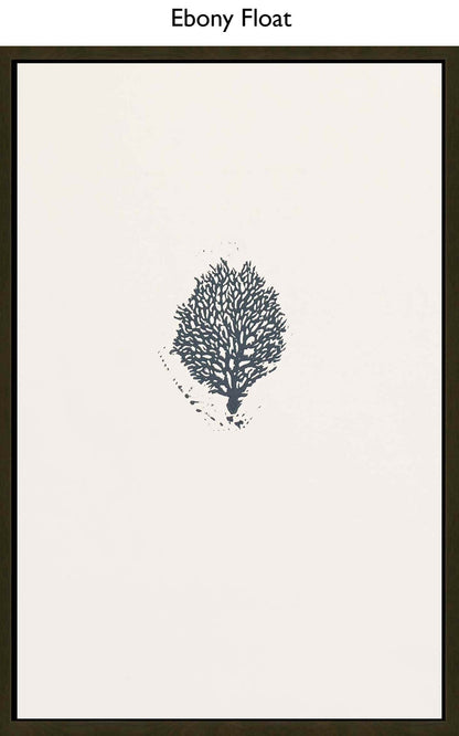 Ebony Float