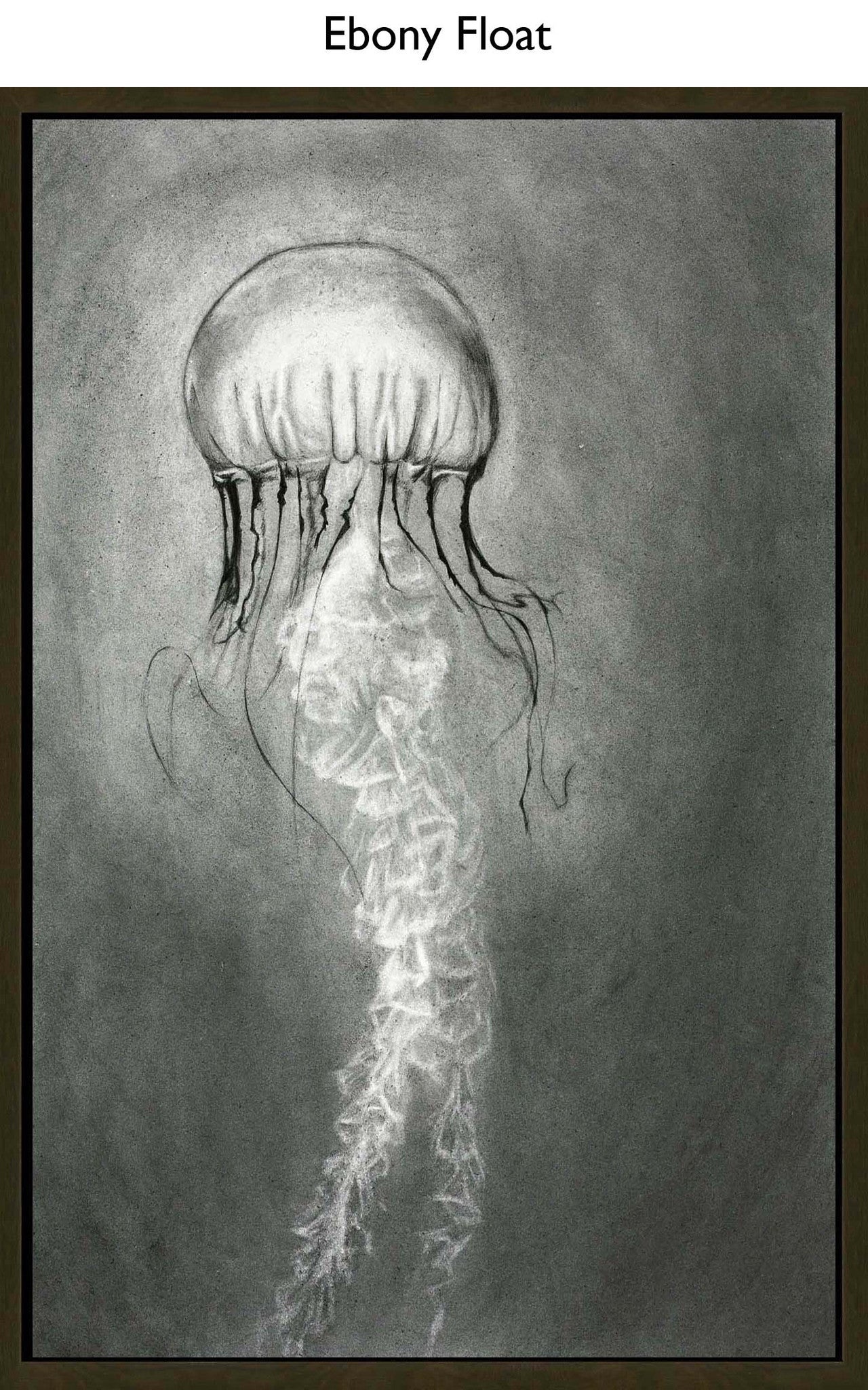 Ebony Float