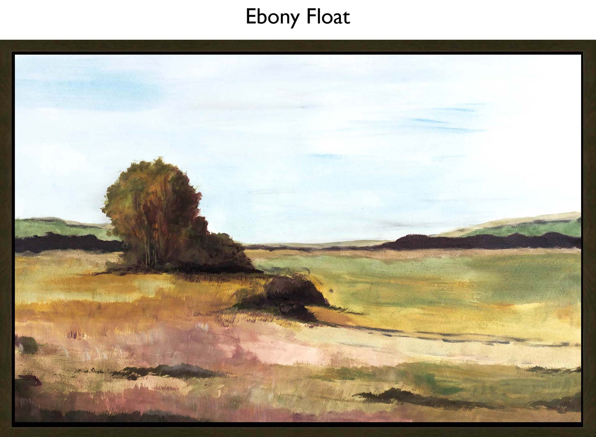 Ebony Float