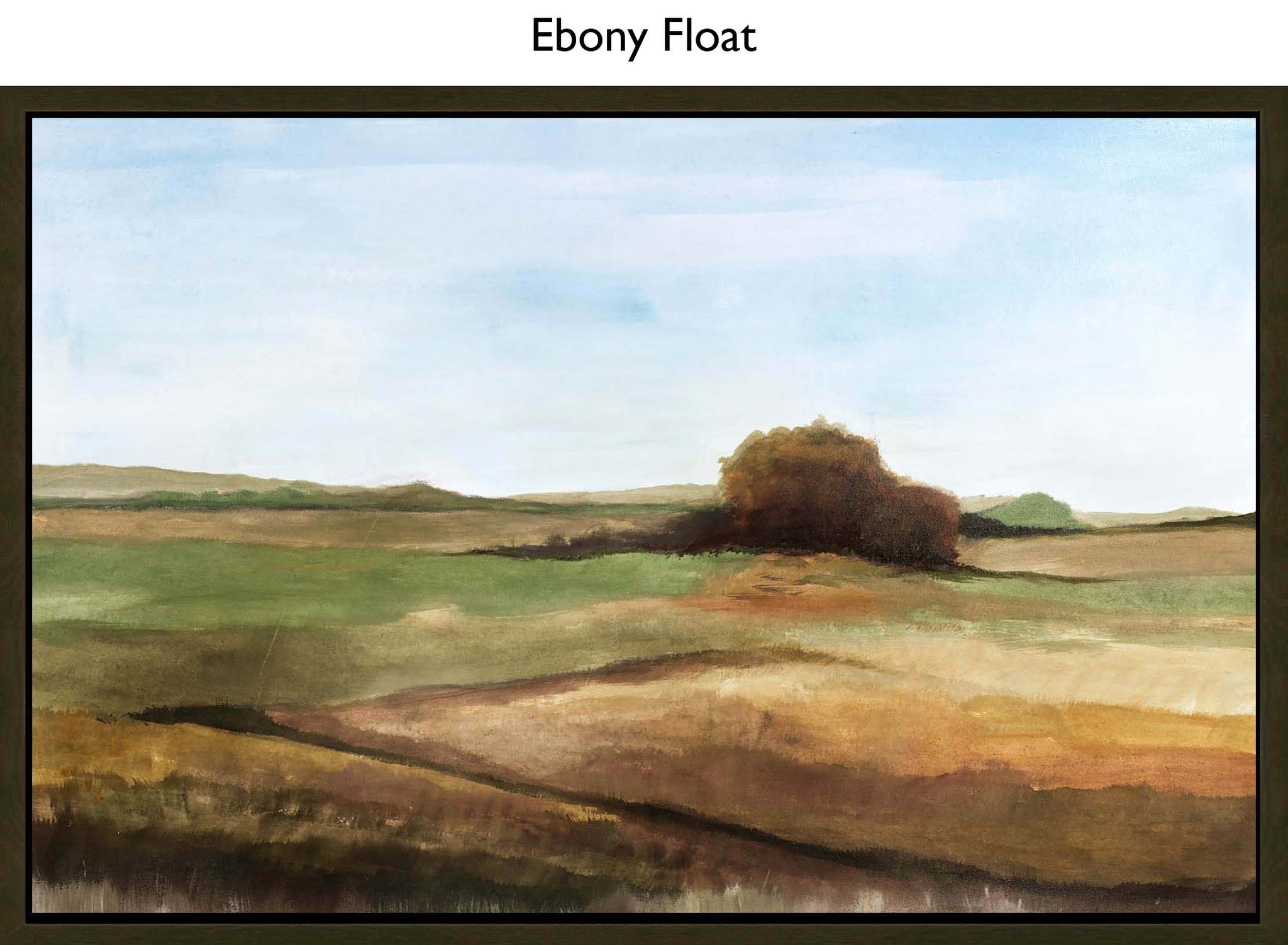 Ebony Float