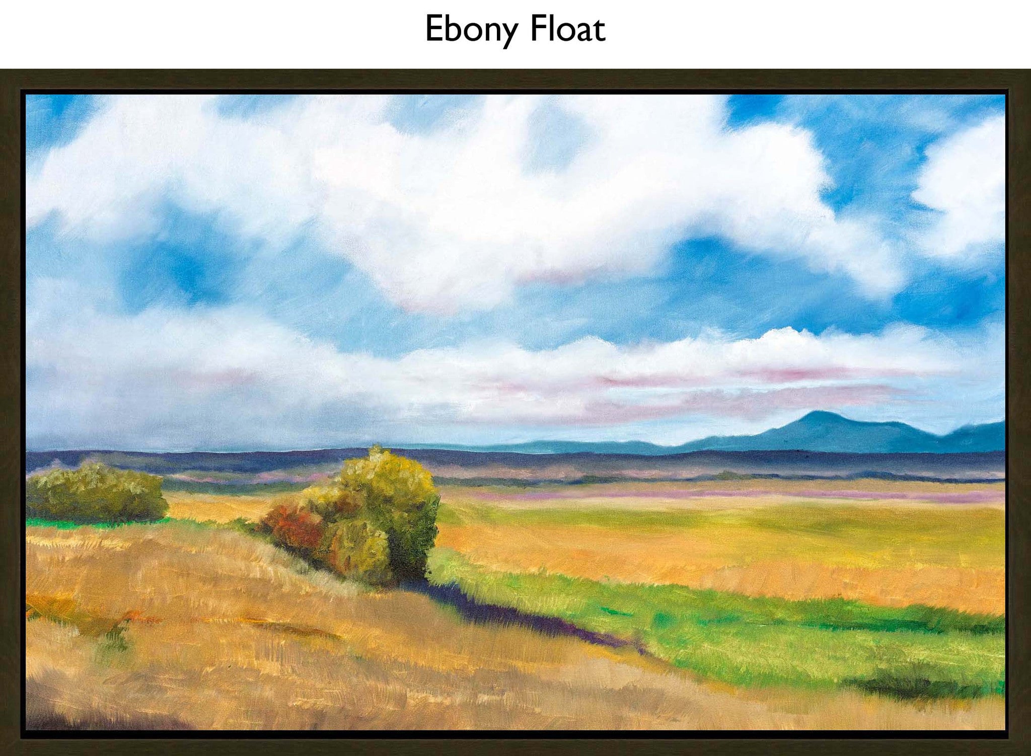 Ebony Float