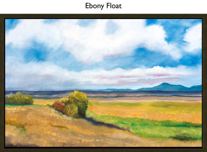 Ebony Float