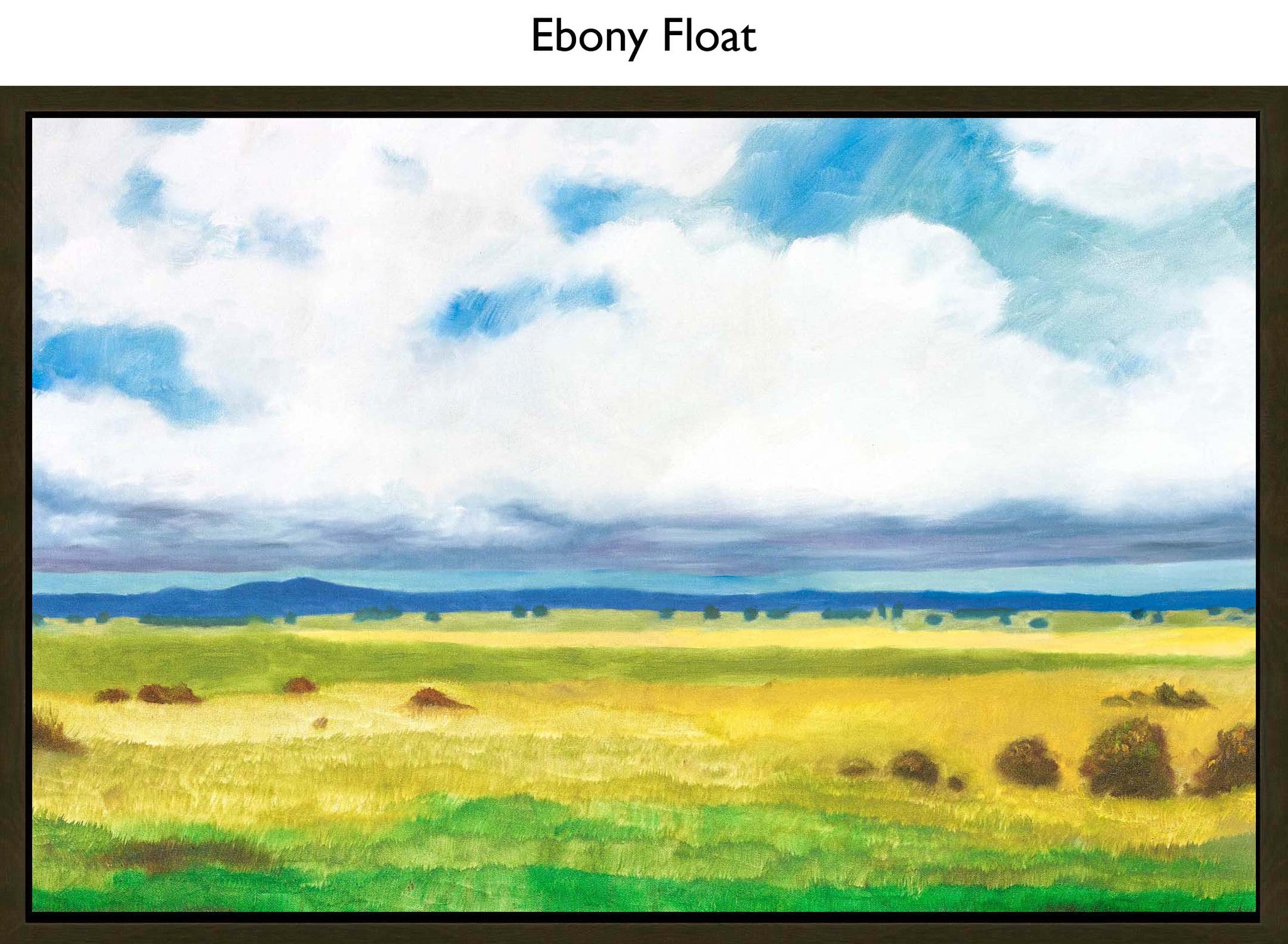 Ebony Float