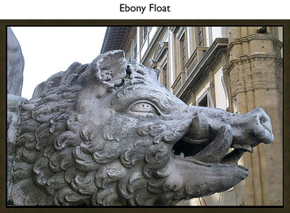 Ebony Float