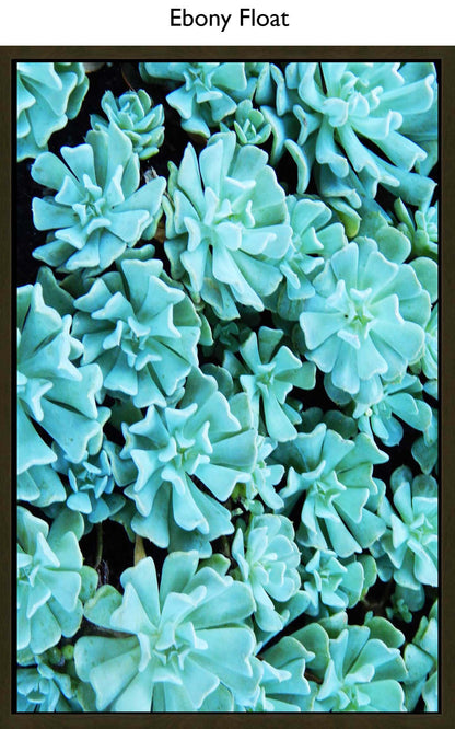 Ebony Float