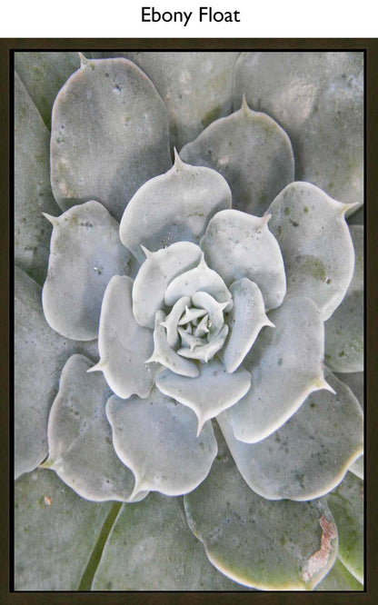 Ebony Float