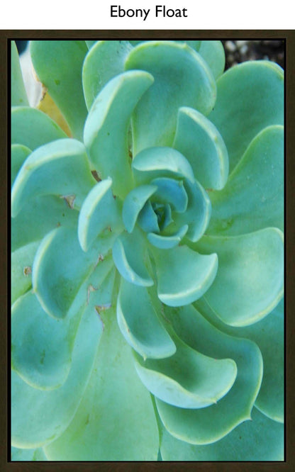 Ebony Float