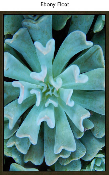 Ebony Float