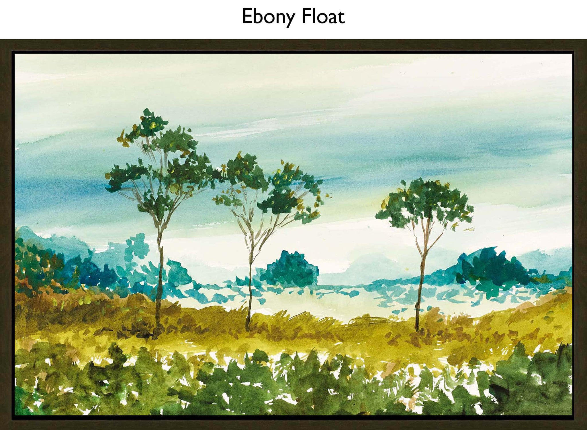 Ebony Float