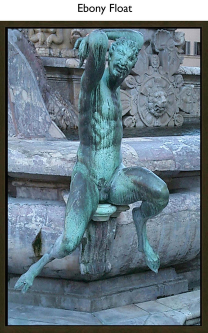 Ebony Float