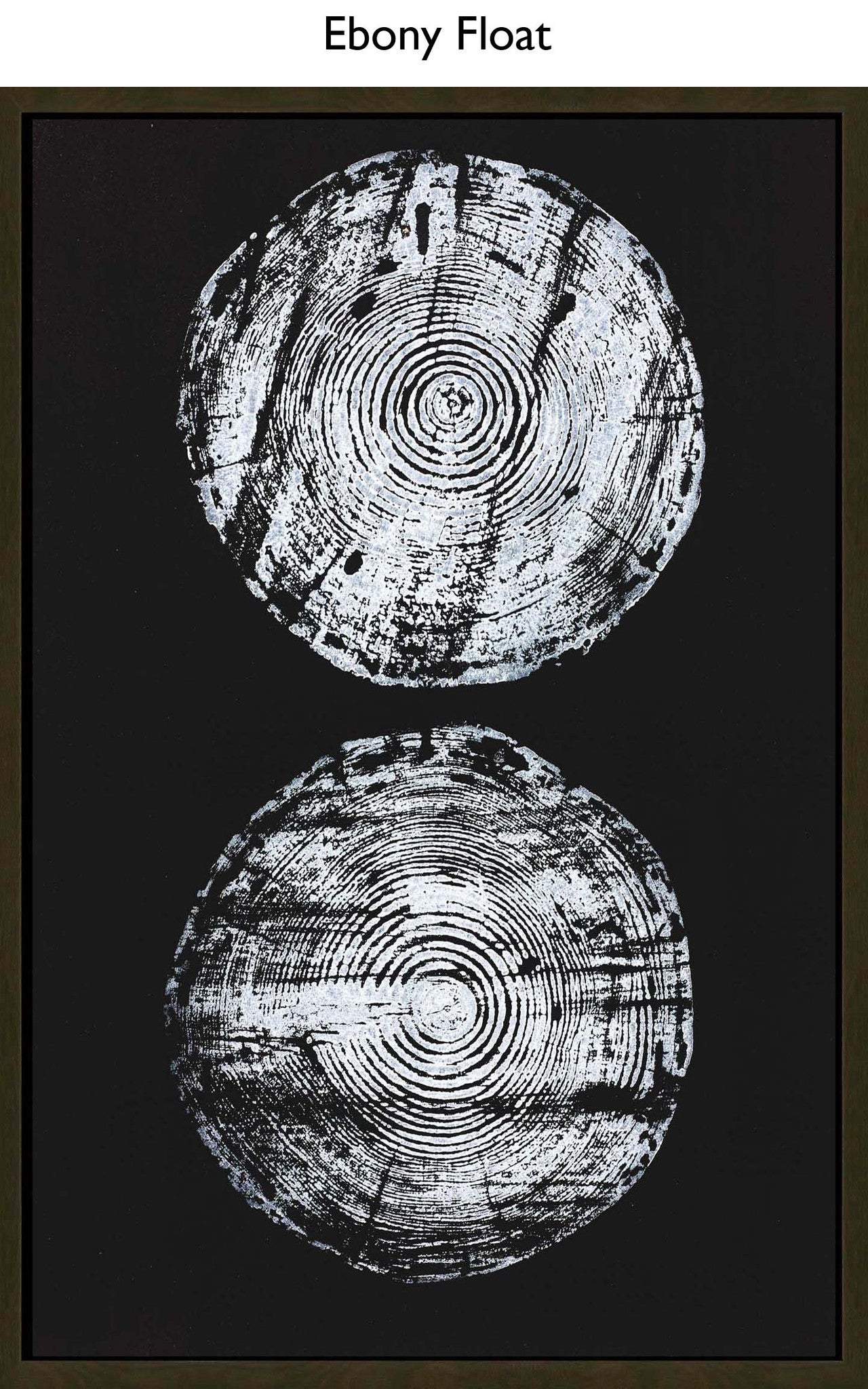 Ebony Float