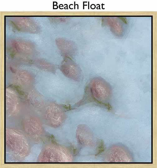 Beach Float