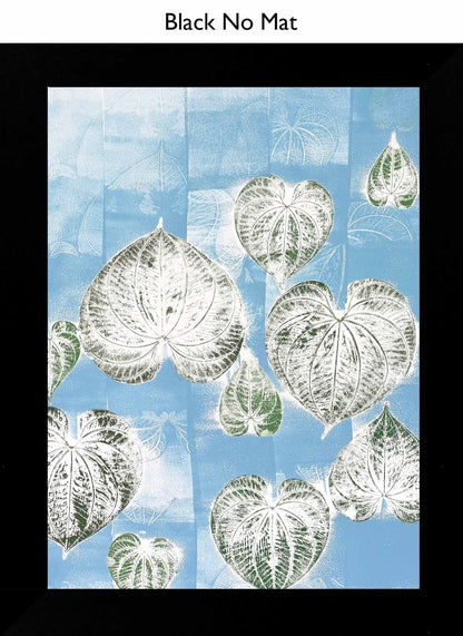 Black No Mat
