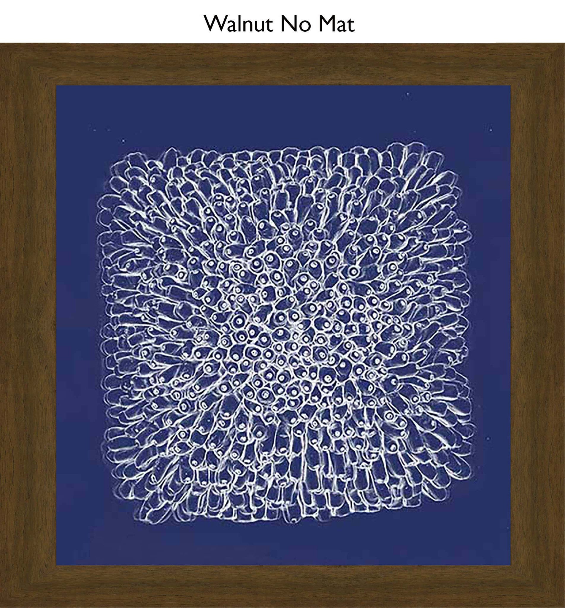 Walnut No Mat