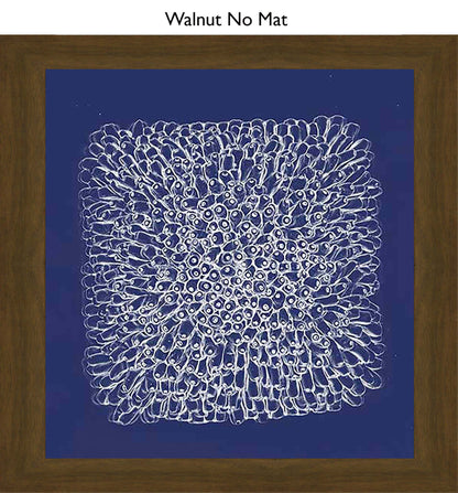Walnut No Mat