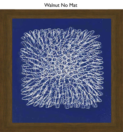 Walnut No Mat