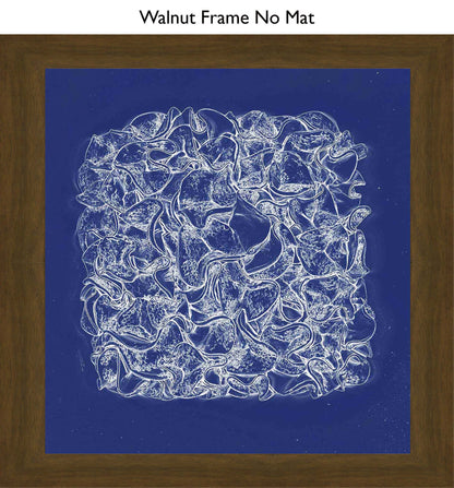 Walnut No Mat