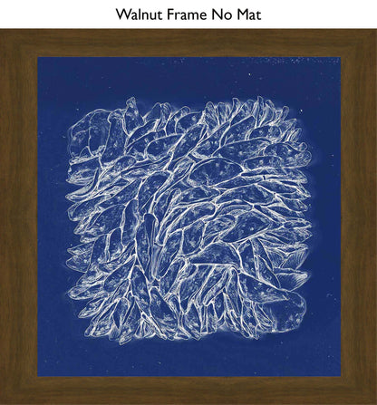 Walnut No Mat