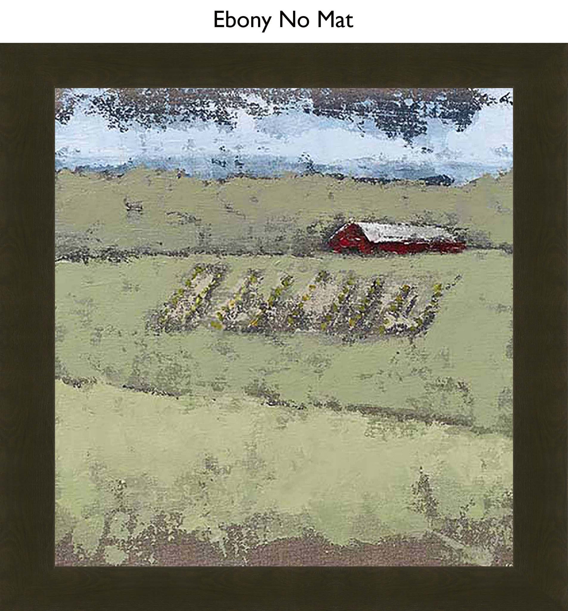 Ebony No Mat