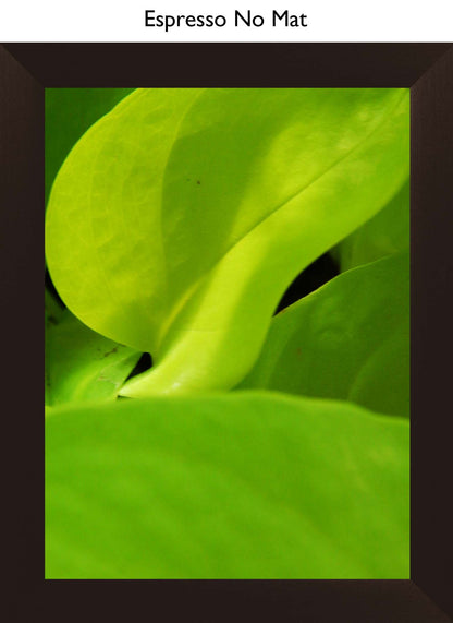 Espresso No Mat