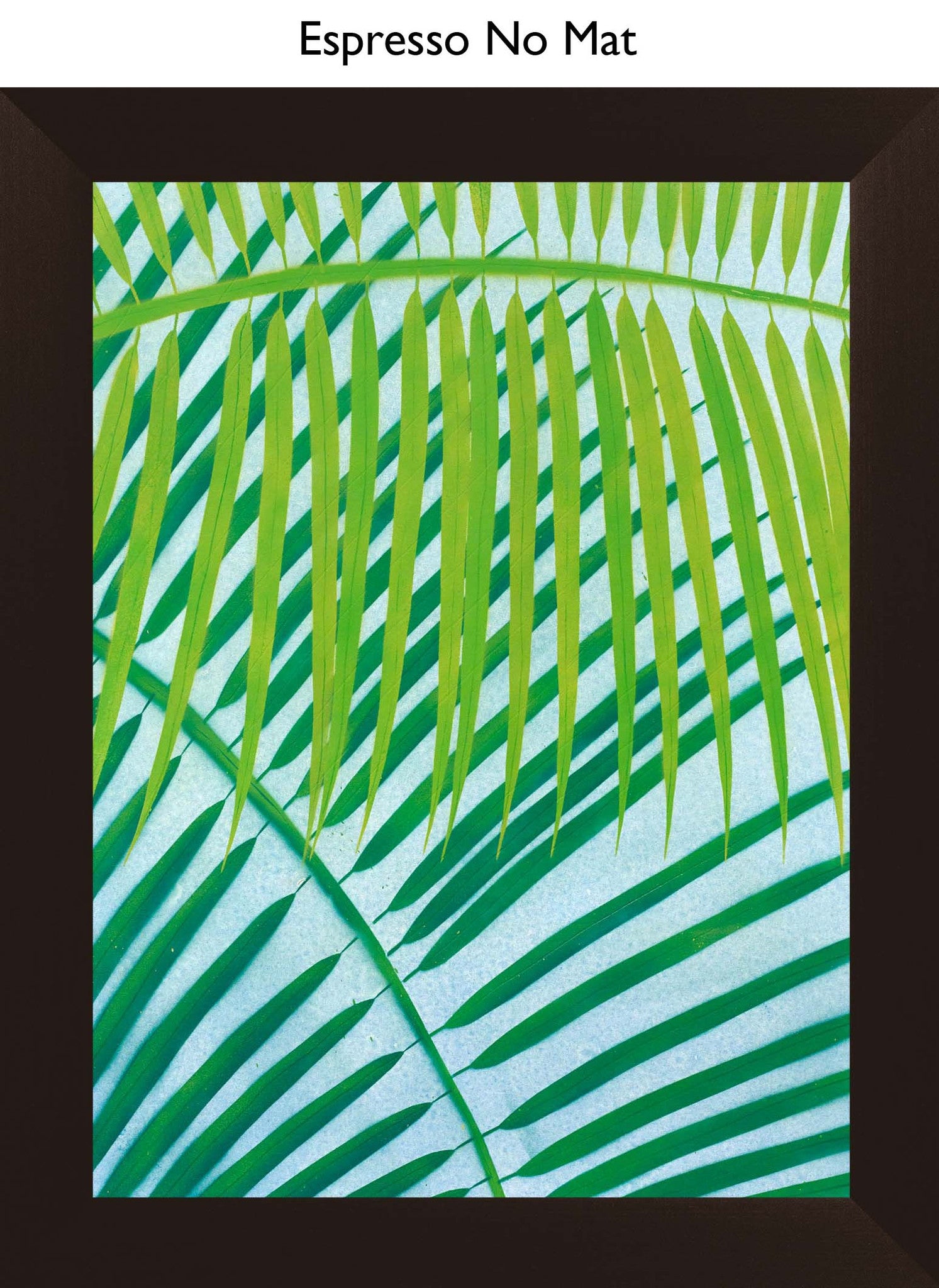 Espresso No Mat