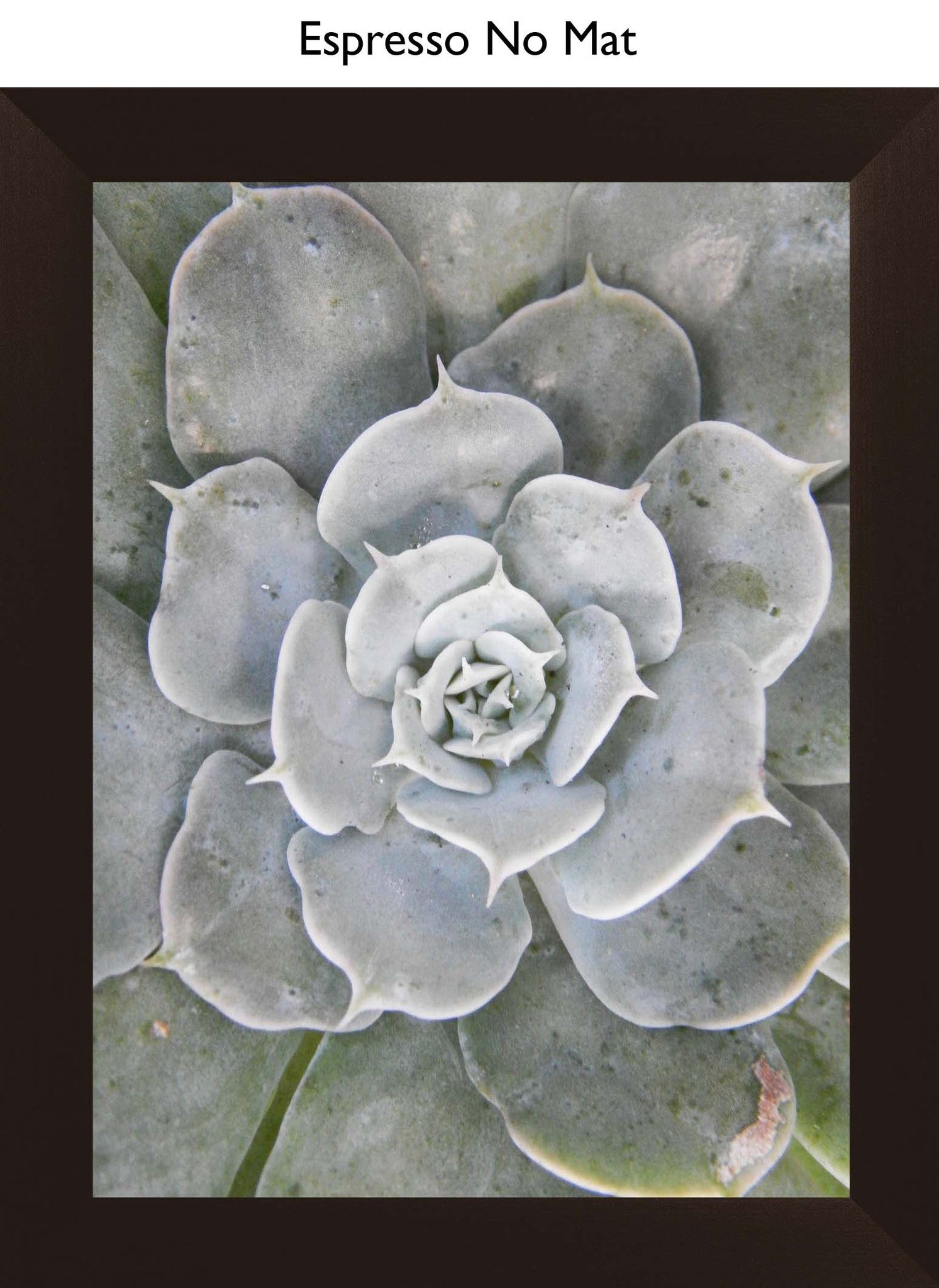Espresso No Mat