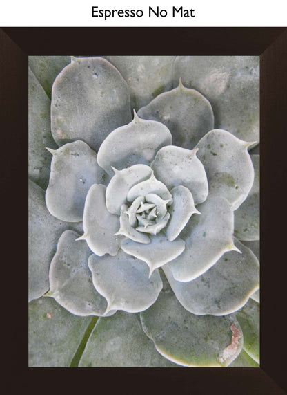 Espresso No Mat