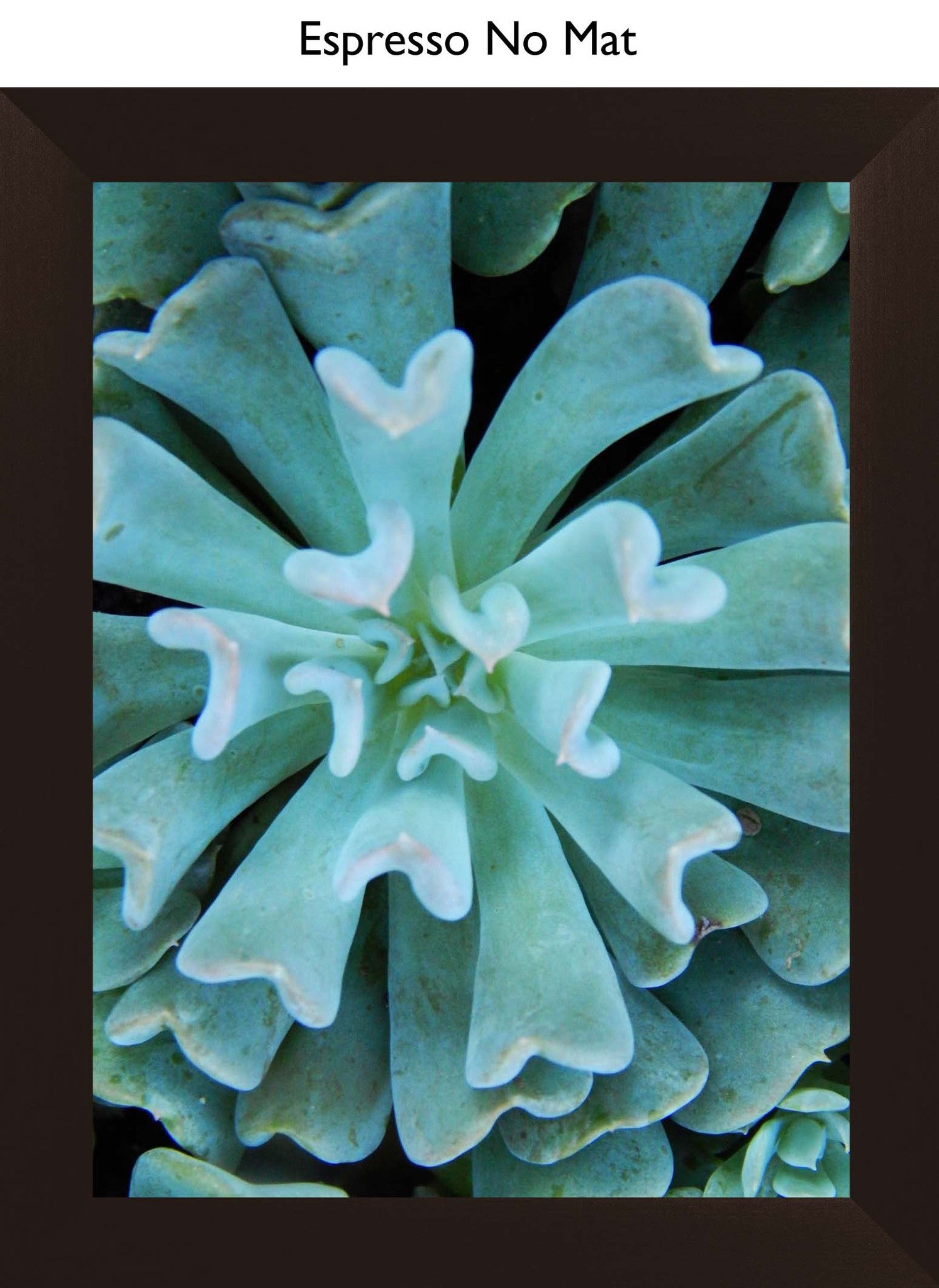 Espresso No Mat