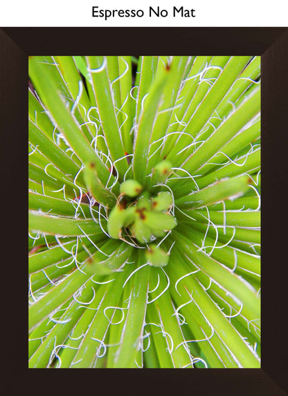 Espresso No Mat
