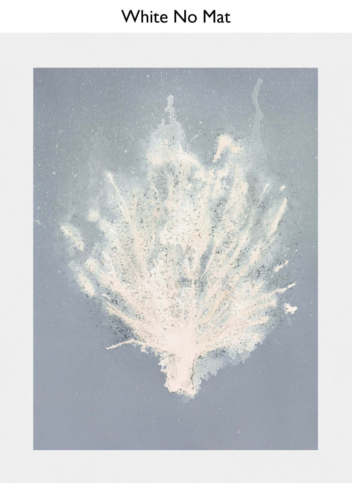 White No Mat
