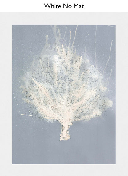 White No Mat