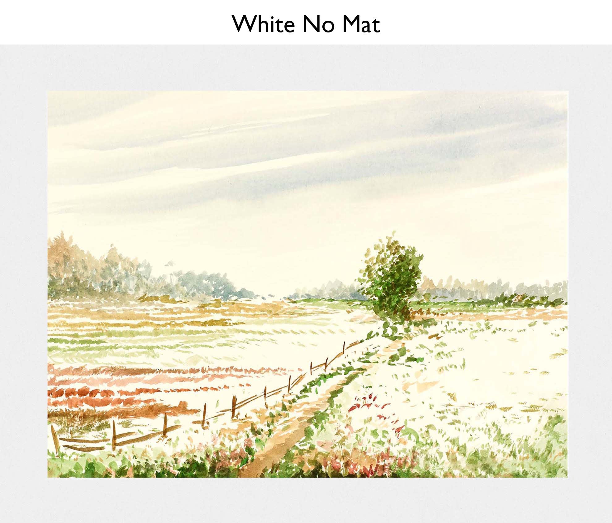 White No Mat