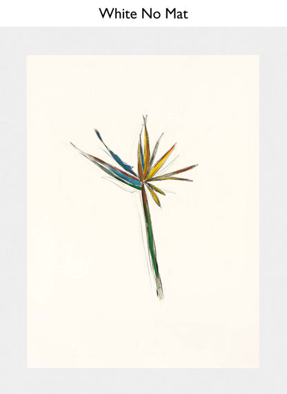 White No Mat