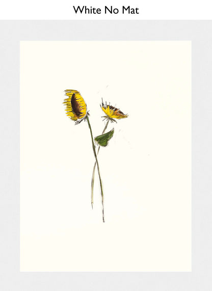 White No Mat