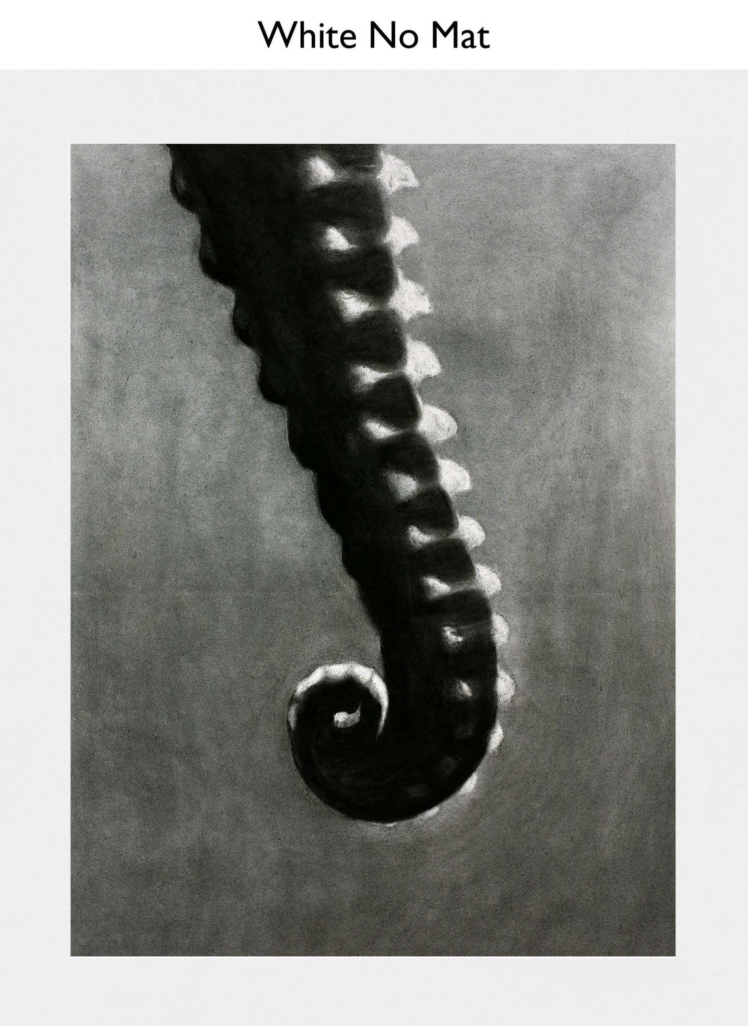 White No Mat
