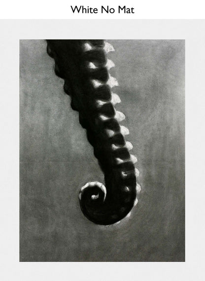 White No Mat