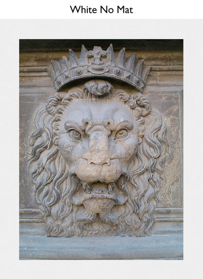 White No Mat