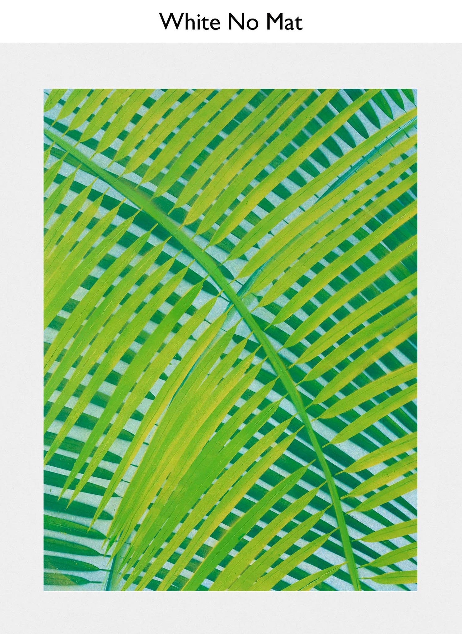White No Mat