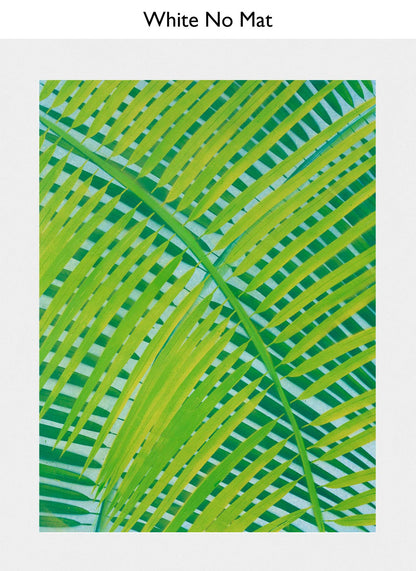 White No Mat