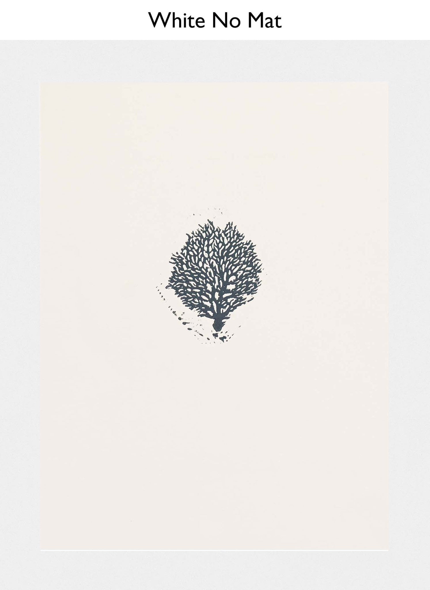 White No Mat
