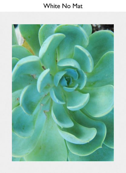 White No Mat