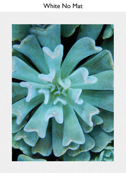 White No Mat