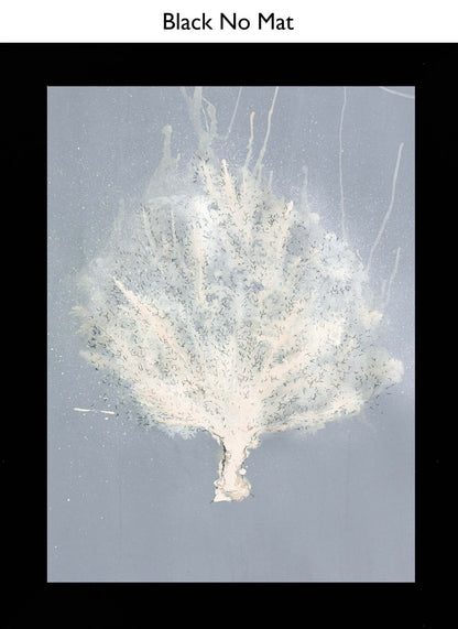 Black No Mat