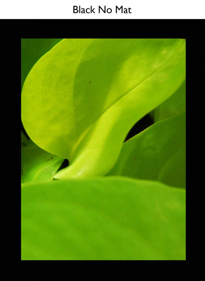 Black No Mat