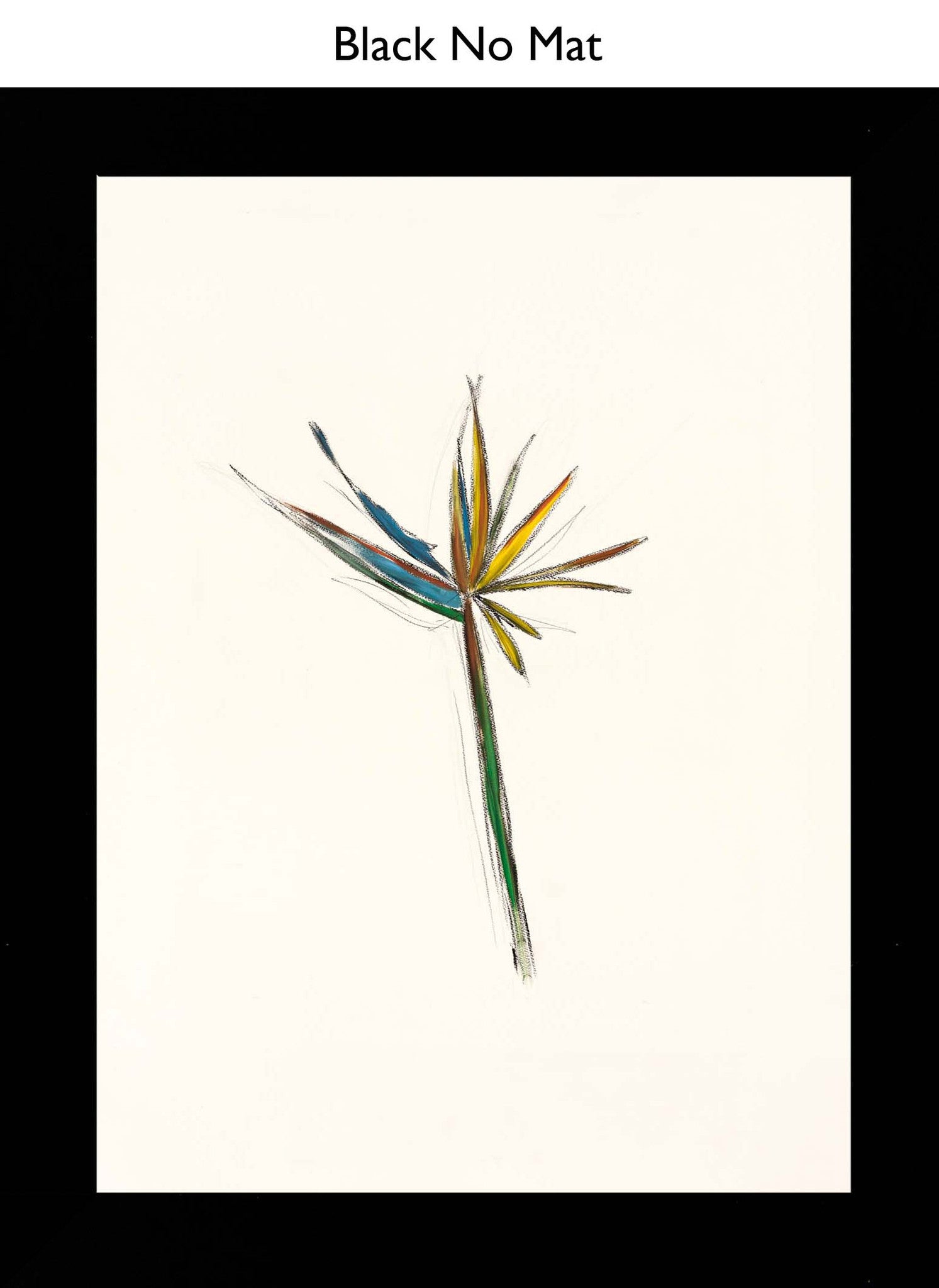 Black No Mat